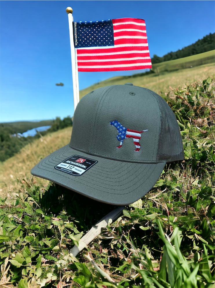 Embroidered Storm American Flag Hats